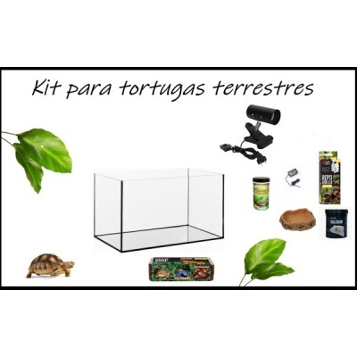 Kit completo de Tortugas Terrestres Kit completo de Tortugas Terrestres